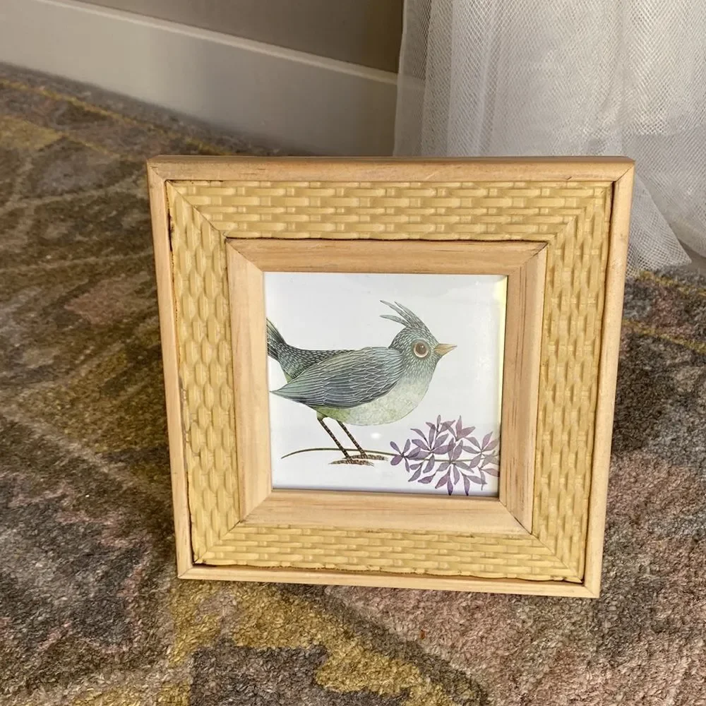 Rachel  Rachel Roy  Picture  Frame